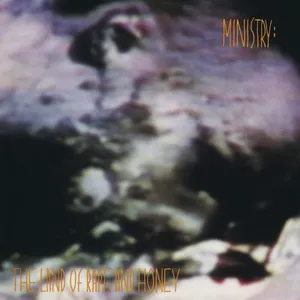 The land of rape and honey